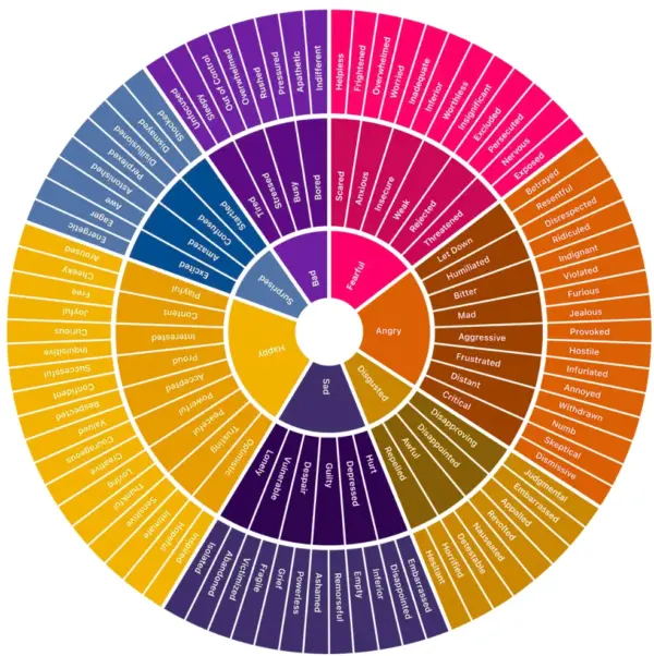 Coloured wheel with spaces for each emotion. 