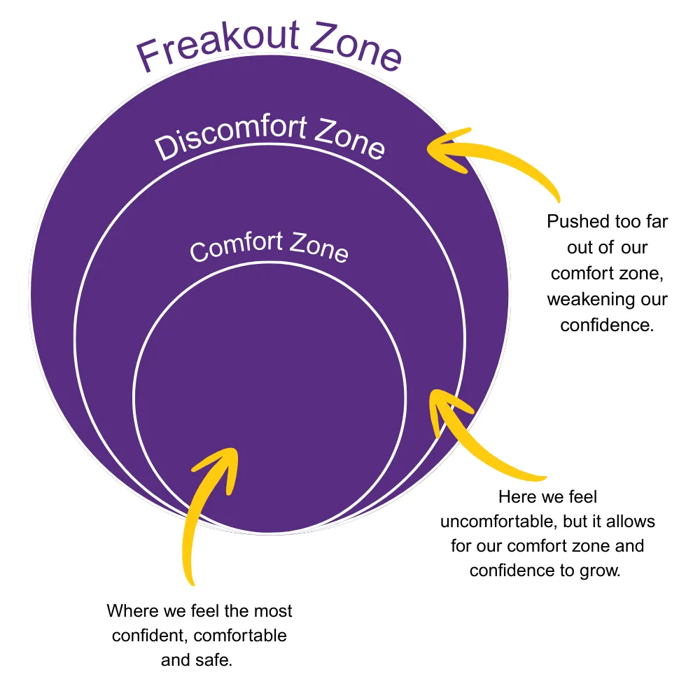 Freakout zone, Discomfort zone and Comfort zone.
